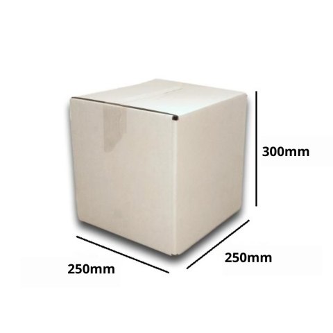 PUDEŁKO OPAKOWANIE KARTON 250x250x300 BIAŁE 10 B