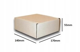 PUDEŁKO OPAKOWANIE KARTON 170x140x55 BIAŁE 10szt B