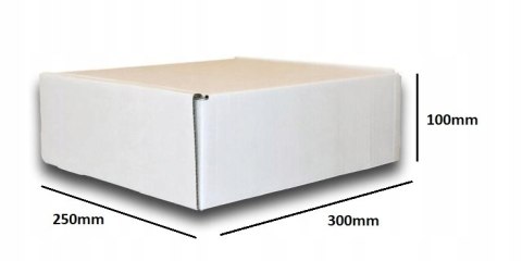 PUDEŁKO OPAKOWANIE KARTON 300x250x100 BIAŁE 10sz E