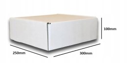 PUDEŁKO OPAKOWANIE KARTON 300x250x100 BIAŁE 25sz B