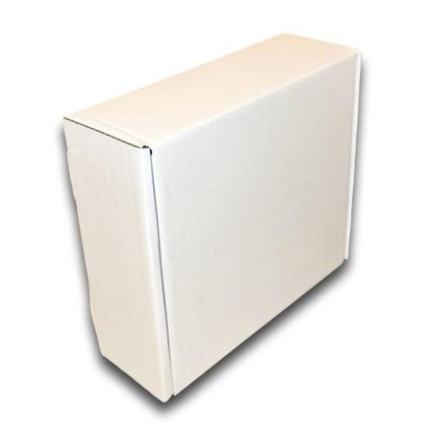 PUDEŁKO OPAKOWANIE KARTON 300x250x100 BIAŁE 25sz E