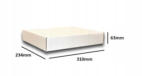 PUDEŁKO OPAKOWANIE KARTON 310x234x63 BIAŁE 10szt B