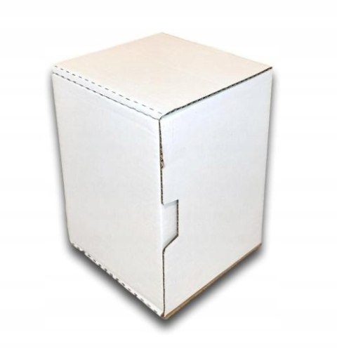 PUDEŁKO OPAKOWANIE KARTON 223x160x156 BIAŁE 10sz B